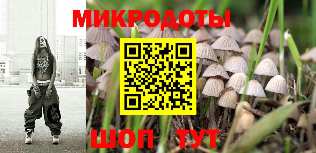 Галлюциногенные грибы прущие грибы  где купить наркотик  Светлоград  Вход с VPN 